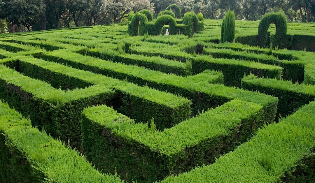 Green, hedged labyrinth