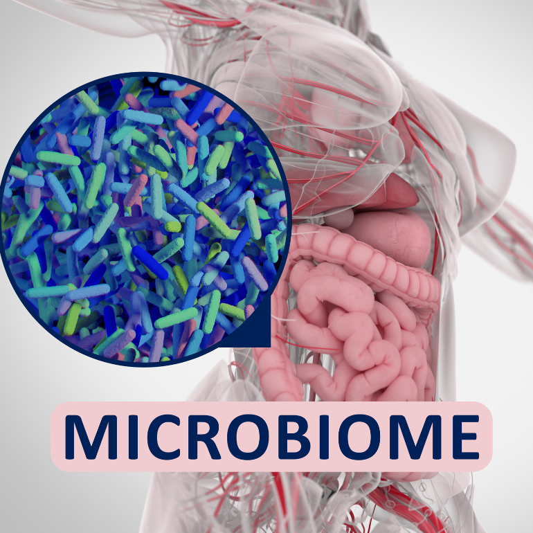 Picture of body and microbiome