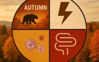 The Autumn Gut Reset: Medicine Wheel Wisdom